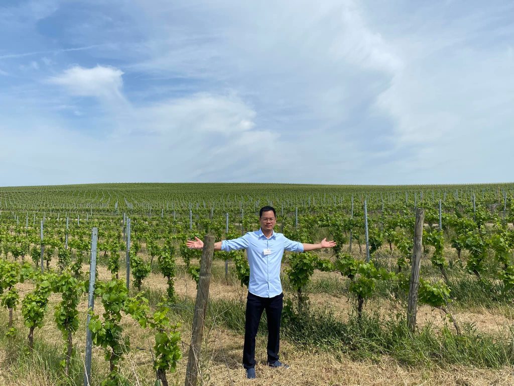 Vùng rượu vang Rheinhessen